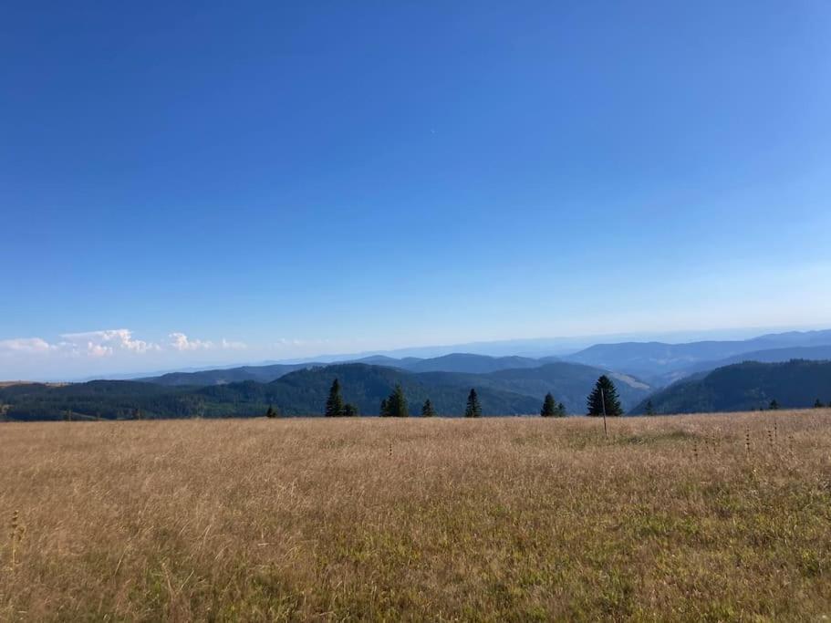 Feldberg Apartment - Direkt An Der Skipiste - Mit Sauna ภายนอก รูปภาพ