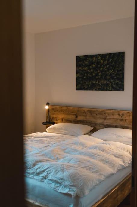 Feldberg Apartment - Direkt An Der Skipiste - Mit Sauna ภายนอก รูปภาพ