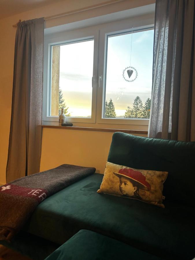 Feldberg Apartment - Direkt An Der Skipiste - Mit Sauna ภายนอก รูปภาพ