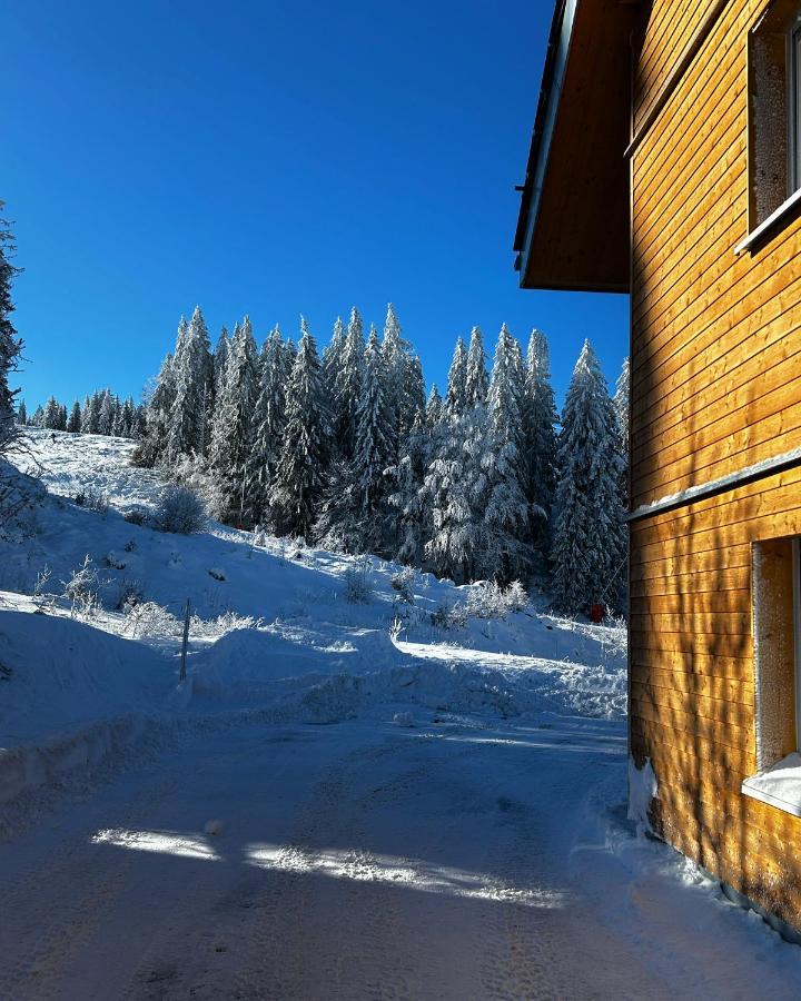 Feldberg Apartment - Direkt An Der Skipiste - Mit Sauna ภายนอก รูปภาพ