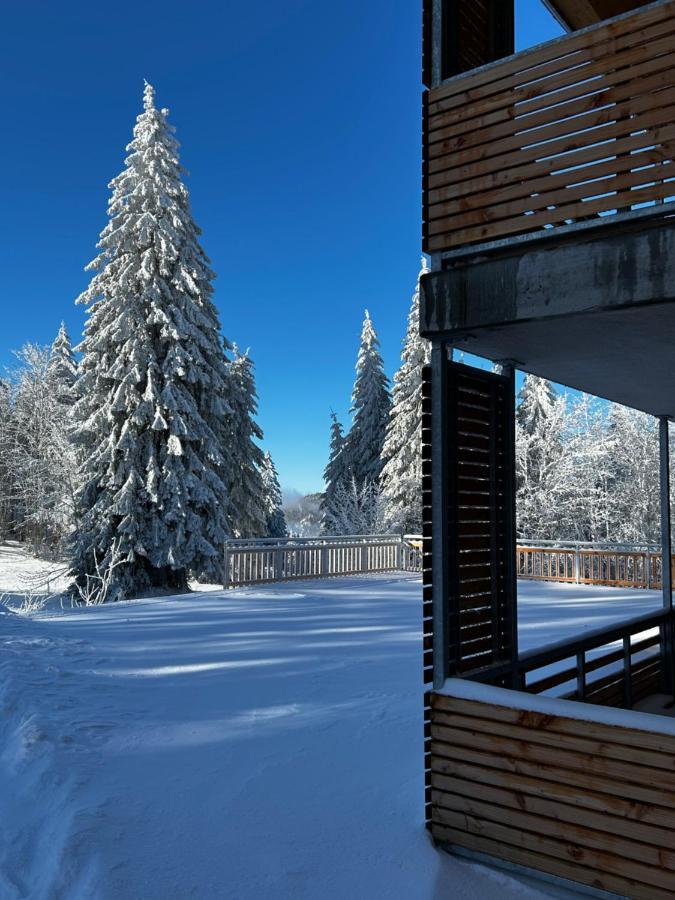 Feldberg Apartment - Direkt An Der Skipiste - Mit Sauna ภายนอก รูปภาพ