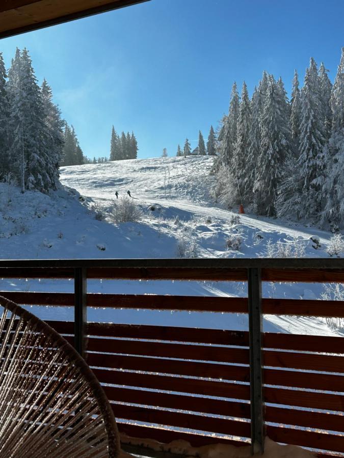 Feldberg Apartment - Direkt An Der Skipiste - Mit Sauna ภายนอก รูปภาพ